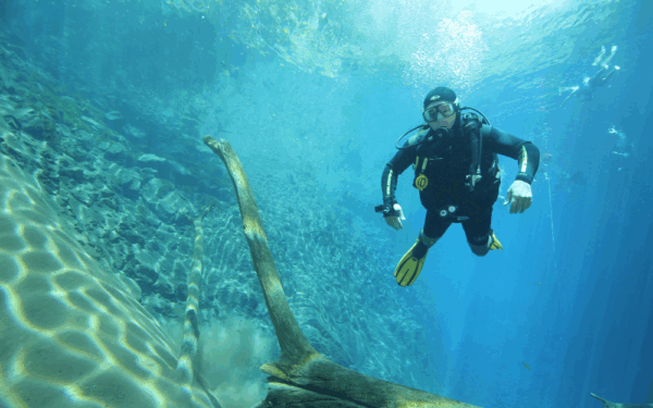 BONITO: What to Do, Tours, and How Tourism Works