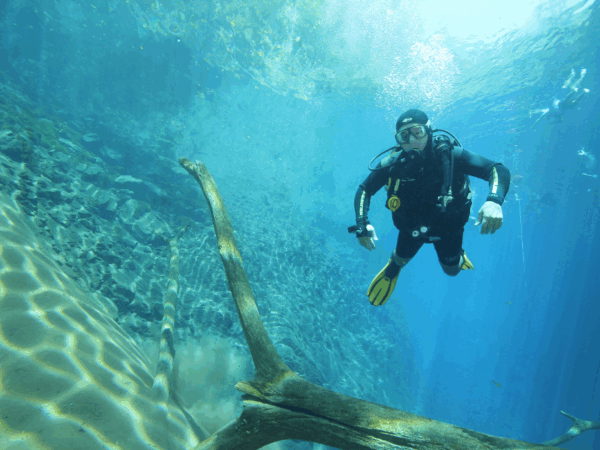 BONITO: What to Do, Tours, and How Tourism Works