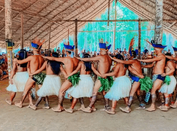 Sleeping in the Amazon Rainforest