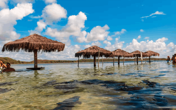 Frequently Asked Questions – FAQs