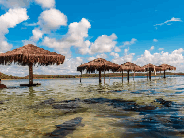 Frequently Asked Questions – FAQs