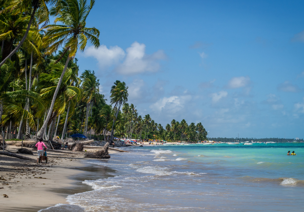 Where to Travel in Brazil in 2026, maragogi