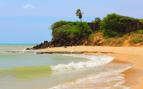 Preguntas Frecuentes – FAQs