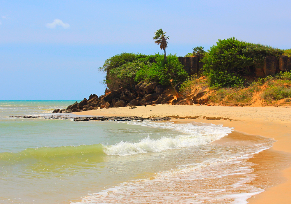 Preguntas Frecuentes – FAQs