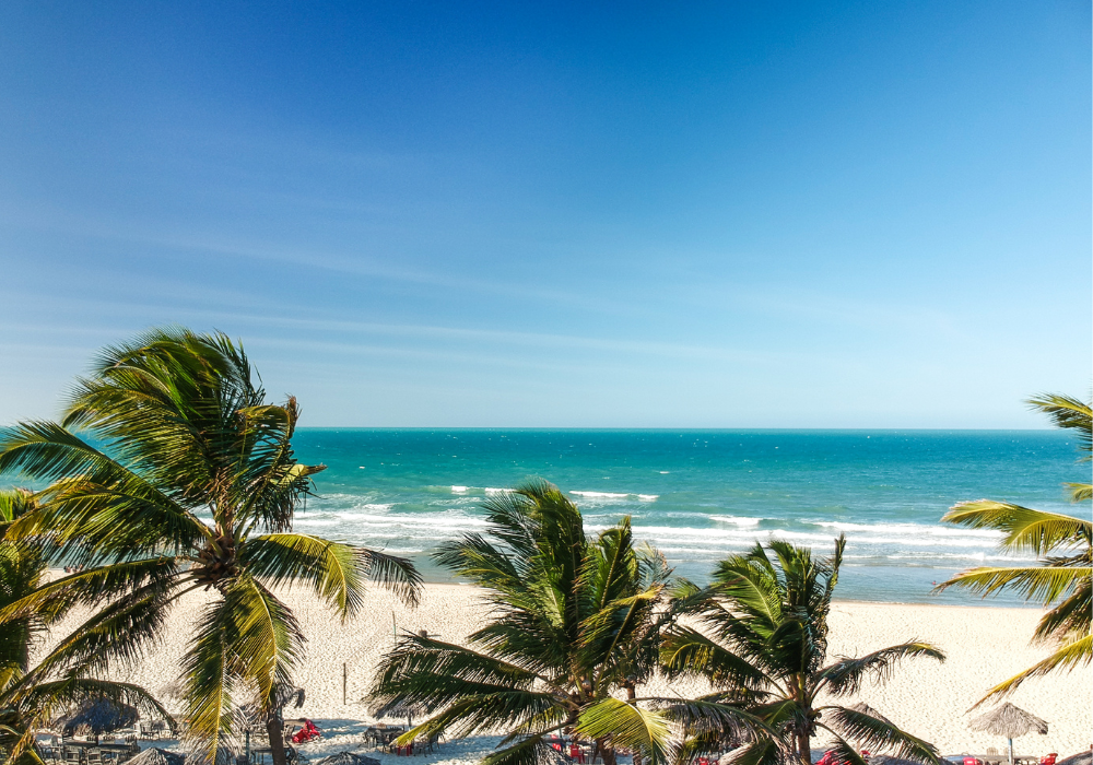 Fortaleza Travel Guide